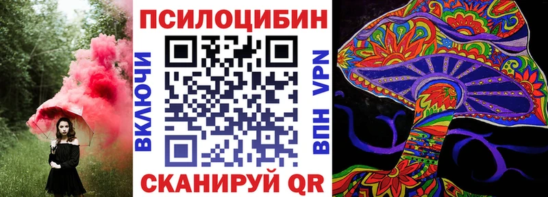 где можно купить   Плёс  Галлюциногенные грибы MAGIC MUSHROOMS 